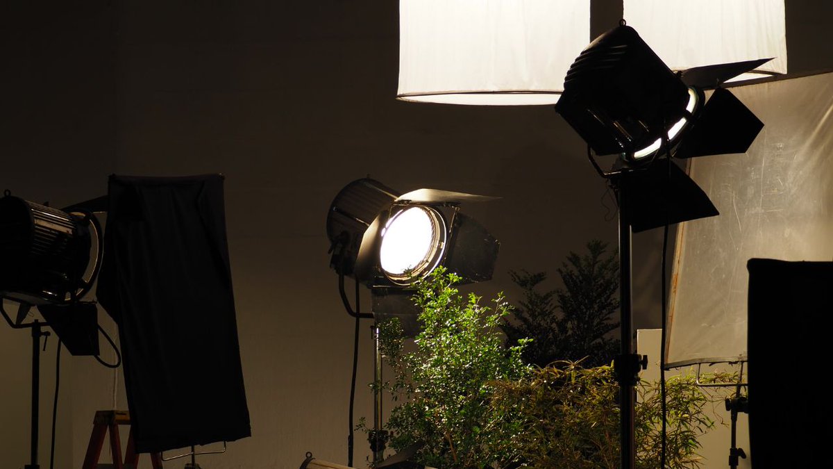 RamCharyEveri's tweet photo. Master Diffused Light: Capture detailed textures and vibrant colors effortlessly. Dive into close-ups without harsh shadows and experiment with long exposures for captivating effects.   #RamVChary https://t.co/FfiErZDfU1