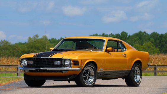 * * * 1970 Ford Mustang Mach 1 Fastback ::.M.:: 🧐