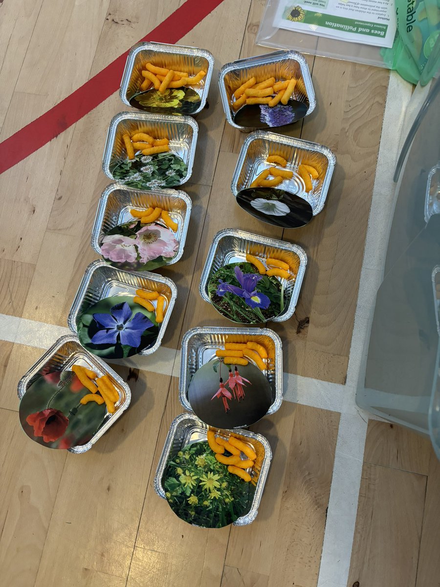 Gourockpr's tweet photo. Faye Currie (our P1s affectionately called ‘the bee lady’) visited us from @_stcolumba to share her knowledge of bees! 🐝 Pupils learned the difference between some species and how to identify a ‘queenie’ 👑 @GPS_primary @MrsWorkman3  #STEMcareersweekGPS https://t.co/Orhnw6Uy4j