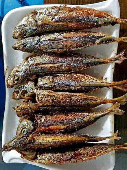 po_zitive's tweet photo. Kahit ito lang please okey na ako. 

Munggo at pritong galunggong 😋🫶 https://t.co/gDUgBtBXLw