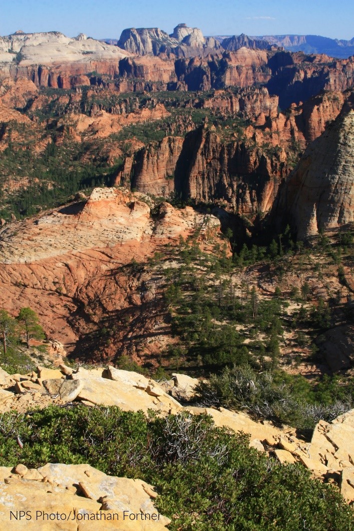 CanyonGuides's tweet photo. Four Gates. Are you ready to travel here. Contact us on our website and lets make a plan. https://t.co/tr29FGXt5B
#grandcanyon #guidedhikes #trekking https://t.co/fwPUWuyQEr