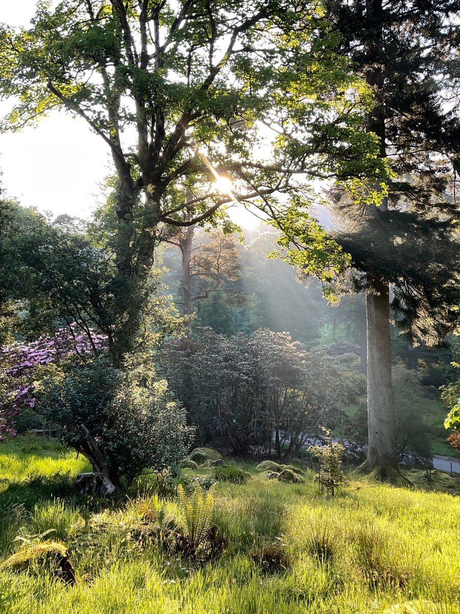 A few of our favourite images… May @BenmoreBotGdn