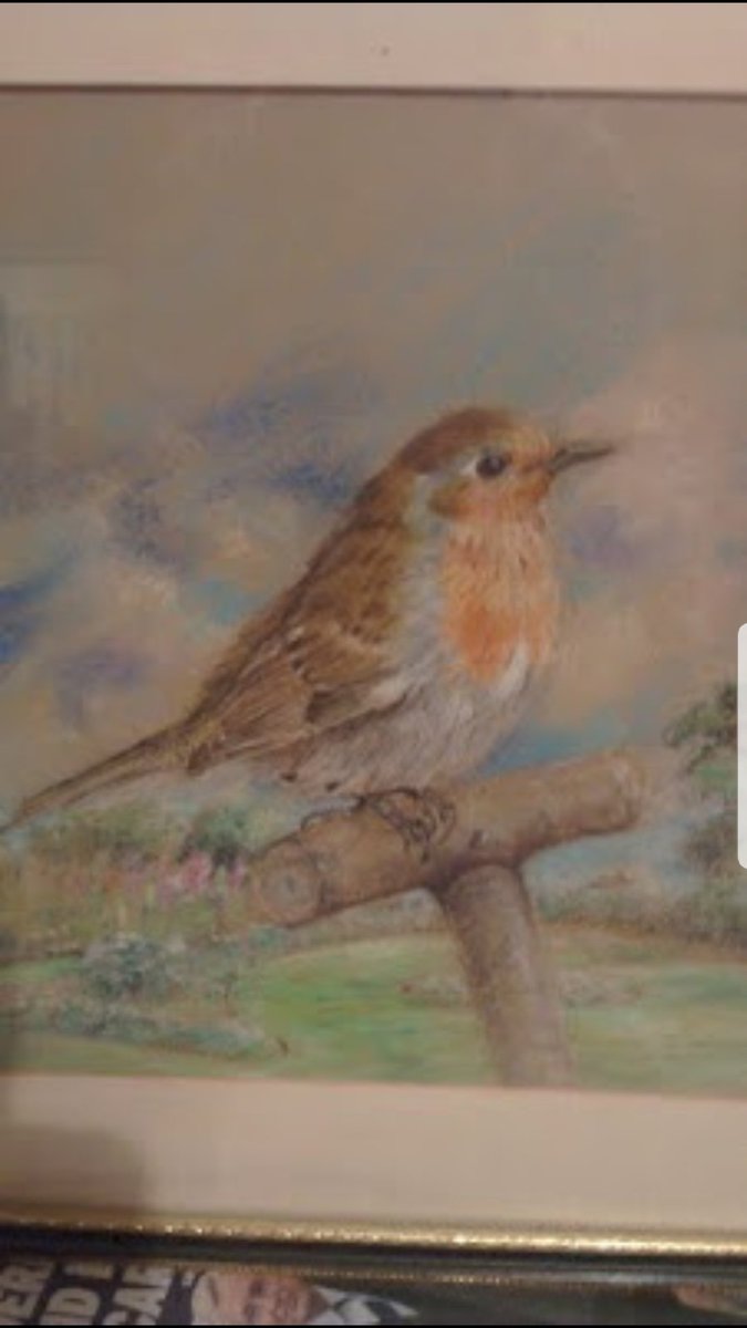 Adrian Bryan tweet media