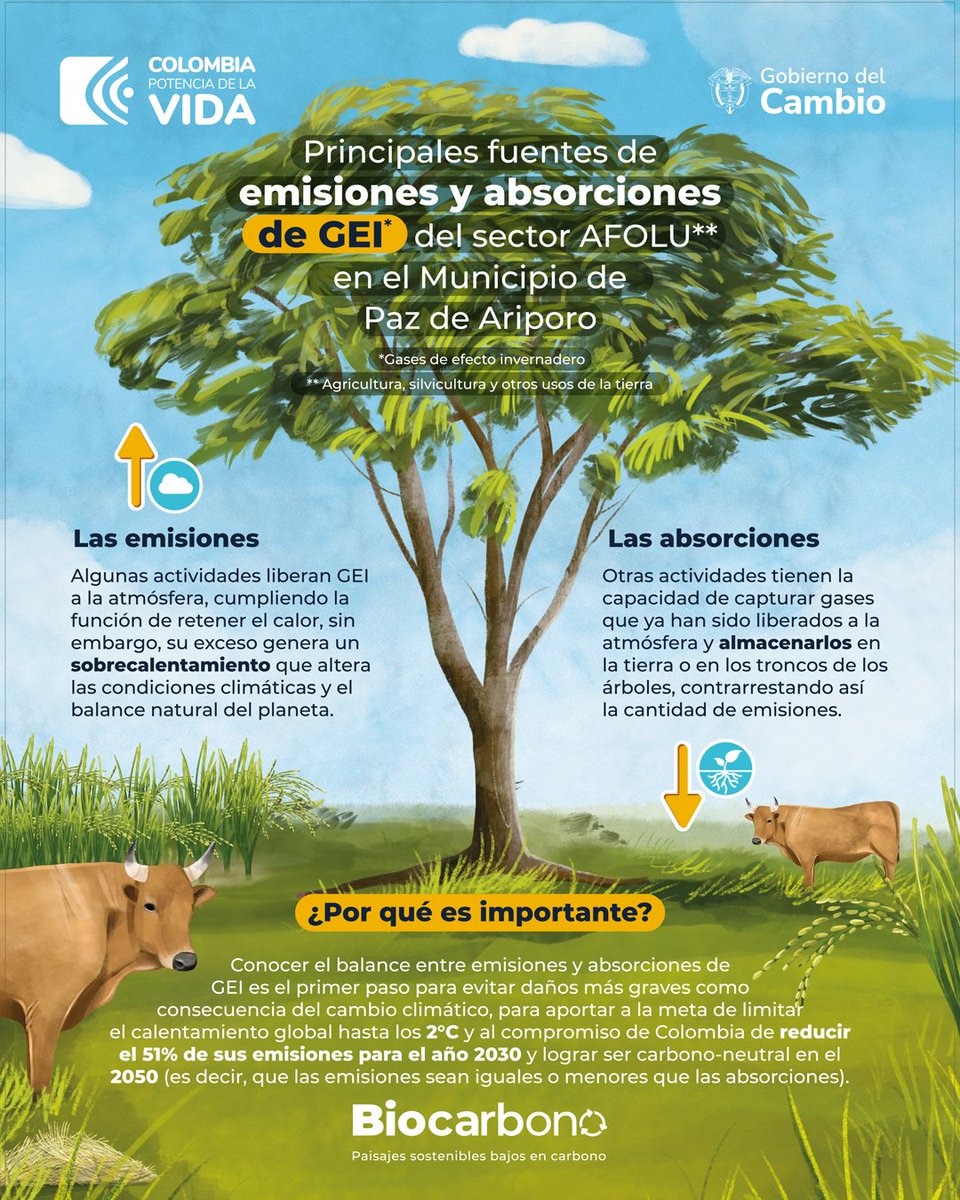 Proyecto Biocarbono Orinoquia tweet media
