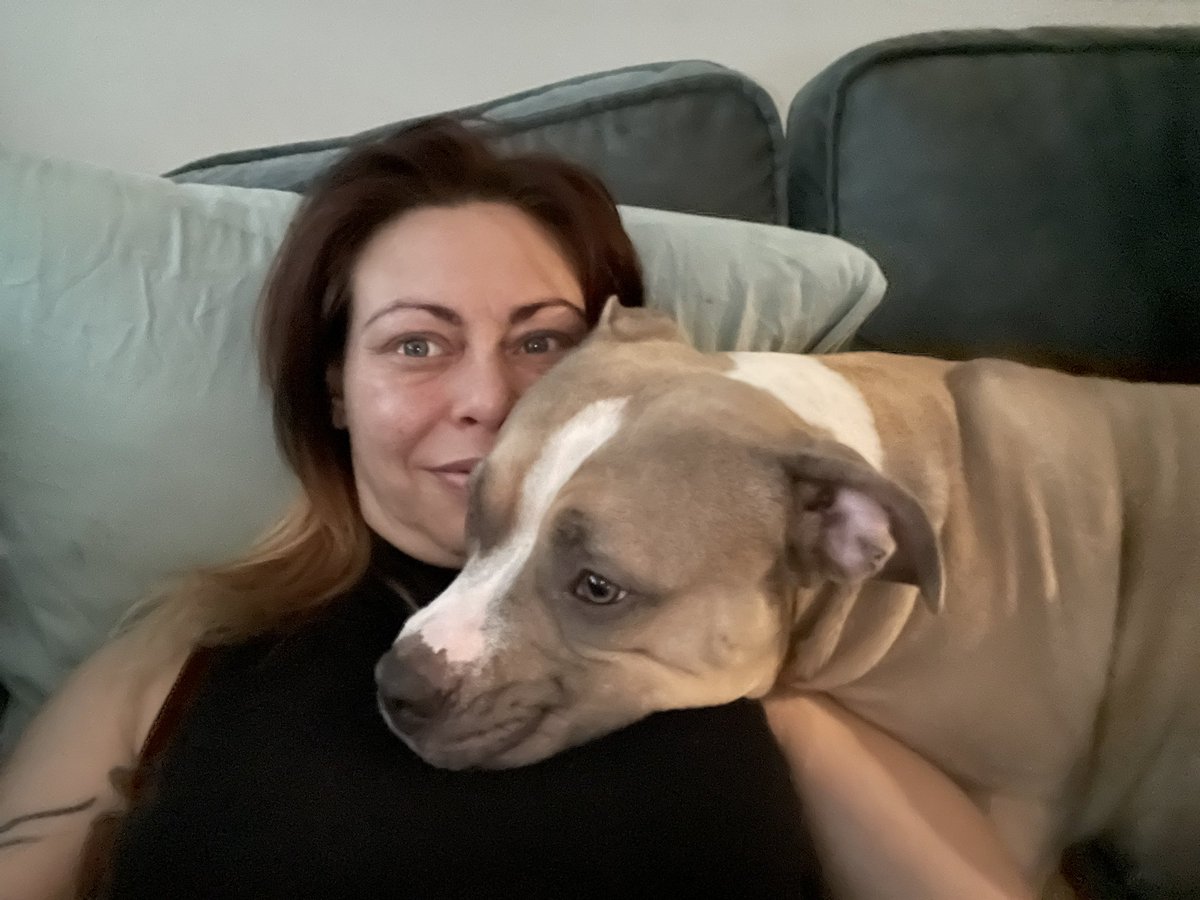 spiritualgipsy's tweet photo. Samen chillen en een serie kijken😎 
fijne avond allen, wij vermaken ons wel zo samen 😁#AmBully #AmericanBully #classic https://t.co/JGM1SpOmbf