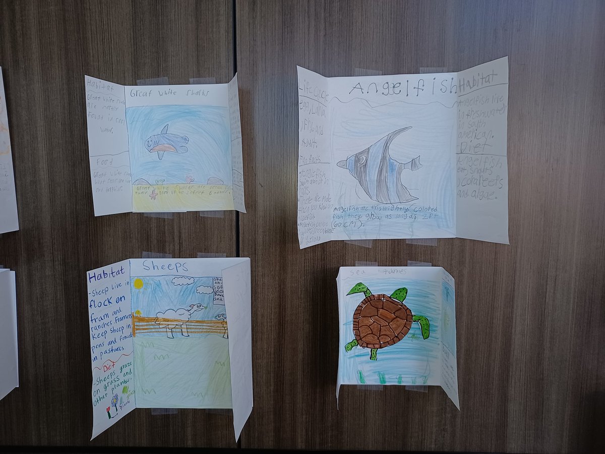 Mrs. Ford's Magical Land of Books (@libraryridge) on Twitter photo Check out the animal research the K-5 students made to prepare for Animal Career Day! #3Danimals #collaboration #CubCommUNITY <a href="/HumbleISD_RCE/">Ridge Creek Elem</a> <a href="/HumbleISD/">Humble ISD</a> <a href="/Mrs_KNel/">Kimberly Nelson</a> <a href="/RCECubSTEAM/">Ms. Churchill</a> <a href="/MrsEdwards_RCE/">Darcie Edwards</a> Check out the animal research the K-5 students made to prepare for Animal Career Day! #3Danimals #collaboration #CubCommUNITY <a href="/HumbleISD_RCE/">Ridge Creek Elem</a> <a href="/HumbleISD/">Humble ISD</a> <a href="/Mrs_KNel/">Kimberly Nelson</a> <a href="/RCECubSTEAM/">Ms. Churchill</a> <a href="/MrsEdwards_RCE/">Darcie Edwards</a>