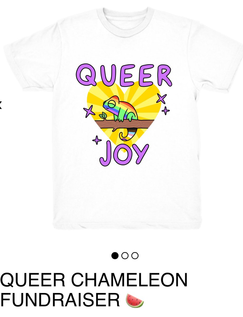 My daughter is selling limited edition #QueerChameleon T-shirts to support families in Gaza - please support 👇 weareprintsocial.com/campaigns/quee…