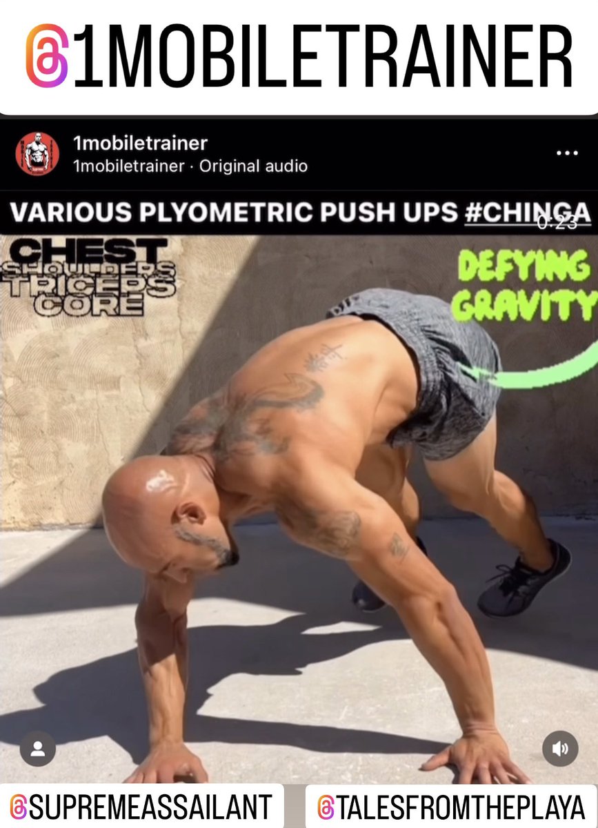 ASSAILANT101's tweet image. 🔴#PLYOMETRIC #PUSHUPS #WORKOUT🔴#chestday #triceps #shoulders #core #bodyweight #advice #tips #chrispedroza #supremeassailant #1mobiletrainer #talesfromtheplaya #podcast #mma #muaythai #boxing #jiujitsu #judo #bojutsu #wrestling
🔻🔻🔻🔻🔻🔻🔻🔻🔻🔻🔻
linktr.ee/CHRISPEDROZA