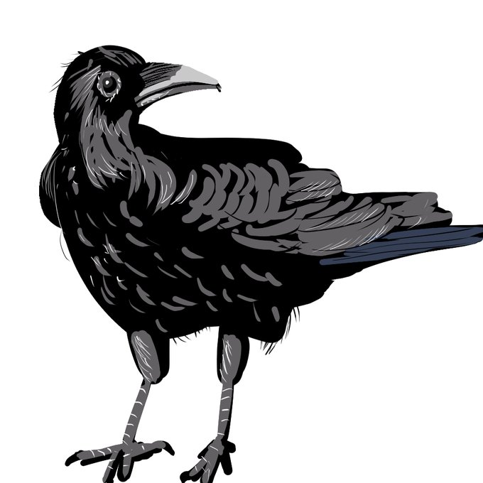 here is a 15 min bird warm up sketch  enjoy the birb lol https://t.co/z4YUGwLey9