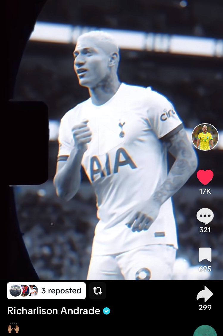 HotspurReports. tweet media