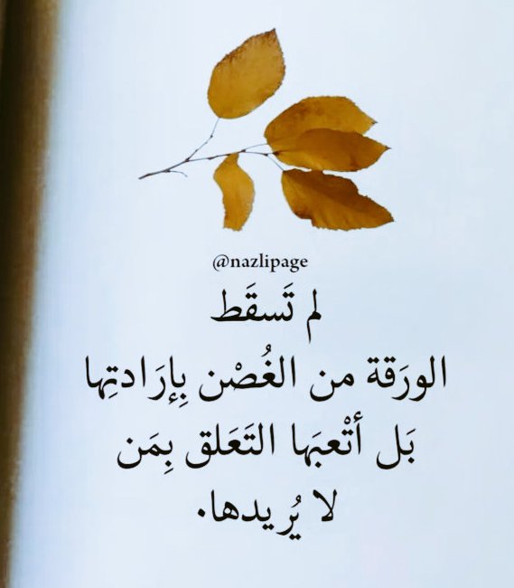 ٠٠٠٠ tweet media