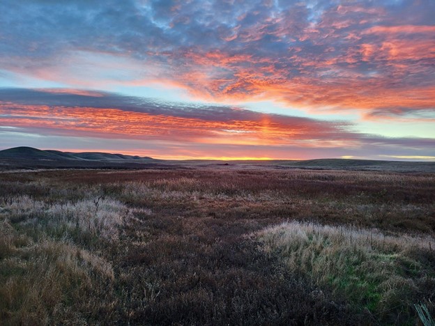 This week’s #MomentOfZen is coming to you from Thomas Muehliesen and this amazing photo he took within the bounds of the San Francisco Bay Reserve. It’s no wonder it’s a winning photo! coast.noaa.gov/about/photo-co…