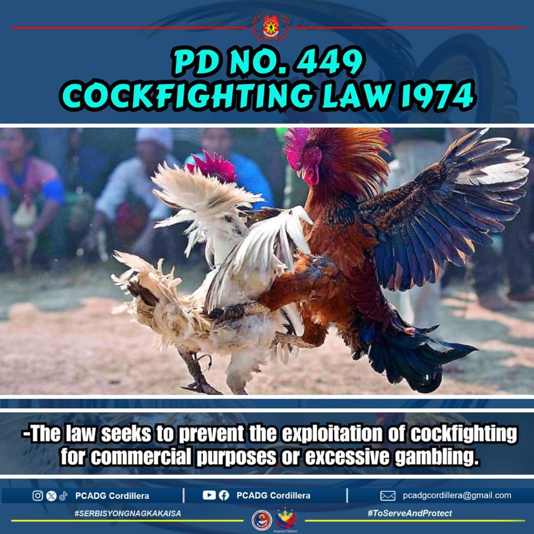 PD No. 449_Cockfighting Law 1974
-the law seeks to prevent the exploitation of cockfighting for commercial purposes or excessive gambling

#ToServeandProtect 
#PCADGCordillera 
#BagongPilipinas