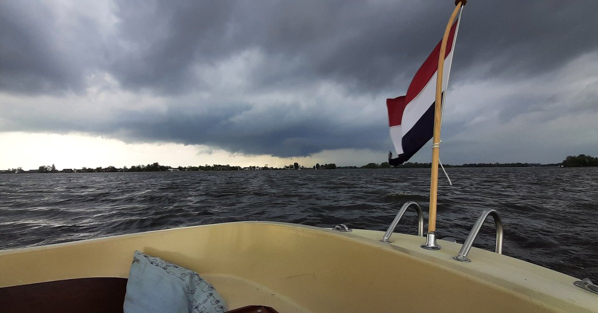 Sandra van Beek tweet media