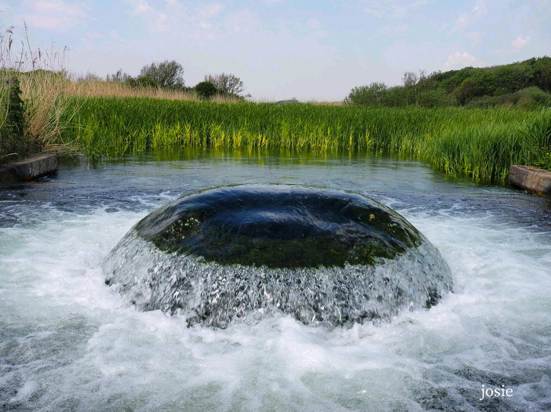 #ElkeDagEenFoto #Mei200524 #DeKwal, PWN Waterinlaat in de duinen tussen Heemskerk en Castricum