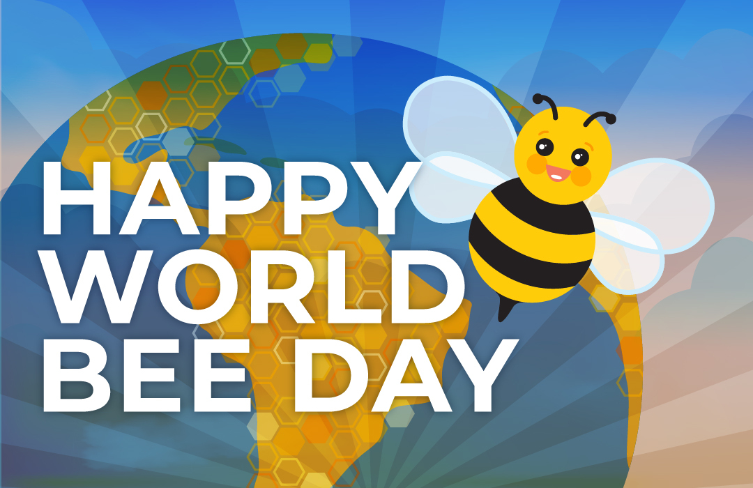 Heifer's tweet photo. It's World Bee Day! 🐝🎉 How much do you know about these beautiful buzzers? Take our quiz and test your knowledge!
→ https://t.co/pOwShVckf1 https://t.co/B11BIUULse