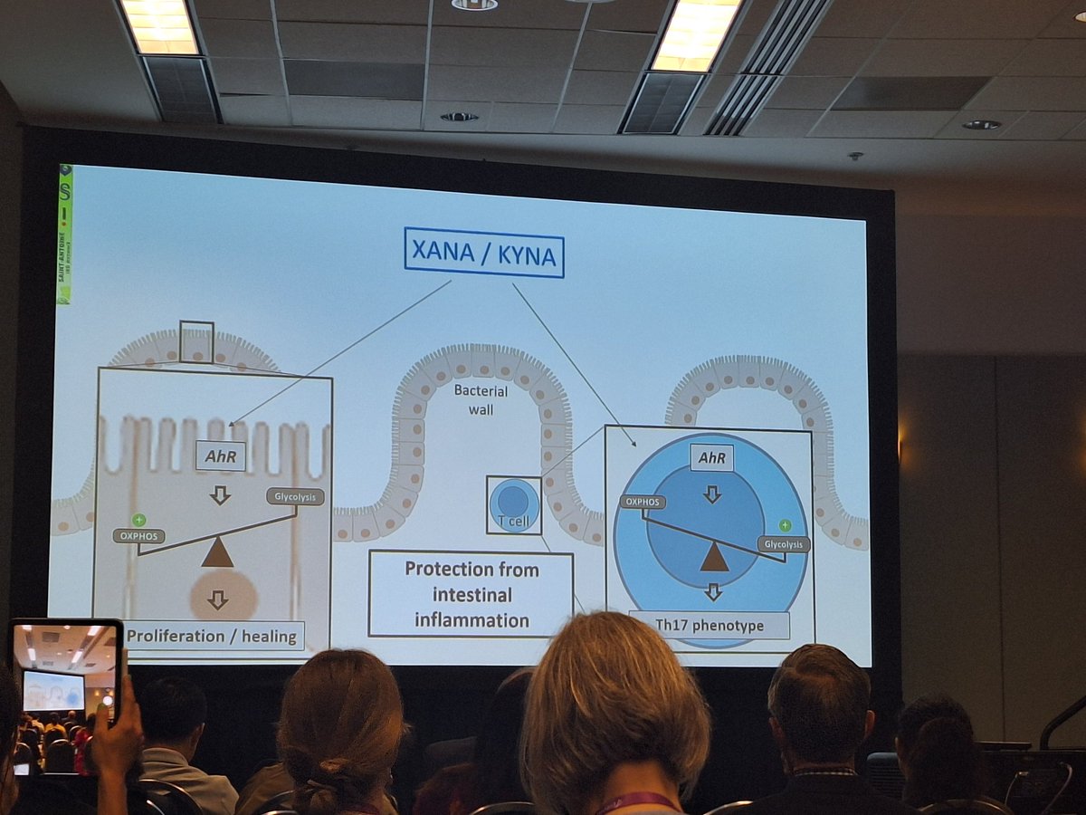 @h_sokol sheds light on the super complex tryptophan pathway in #IBD brilliant presentation 👏👏 #DDW2024