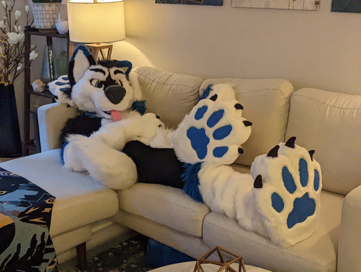 #PawDay eh? Guess I better kick back and relax! 🐾🪡 @WaggeryCos