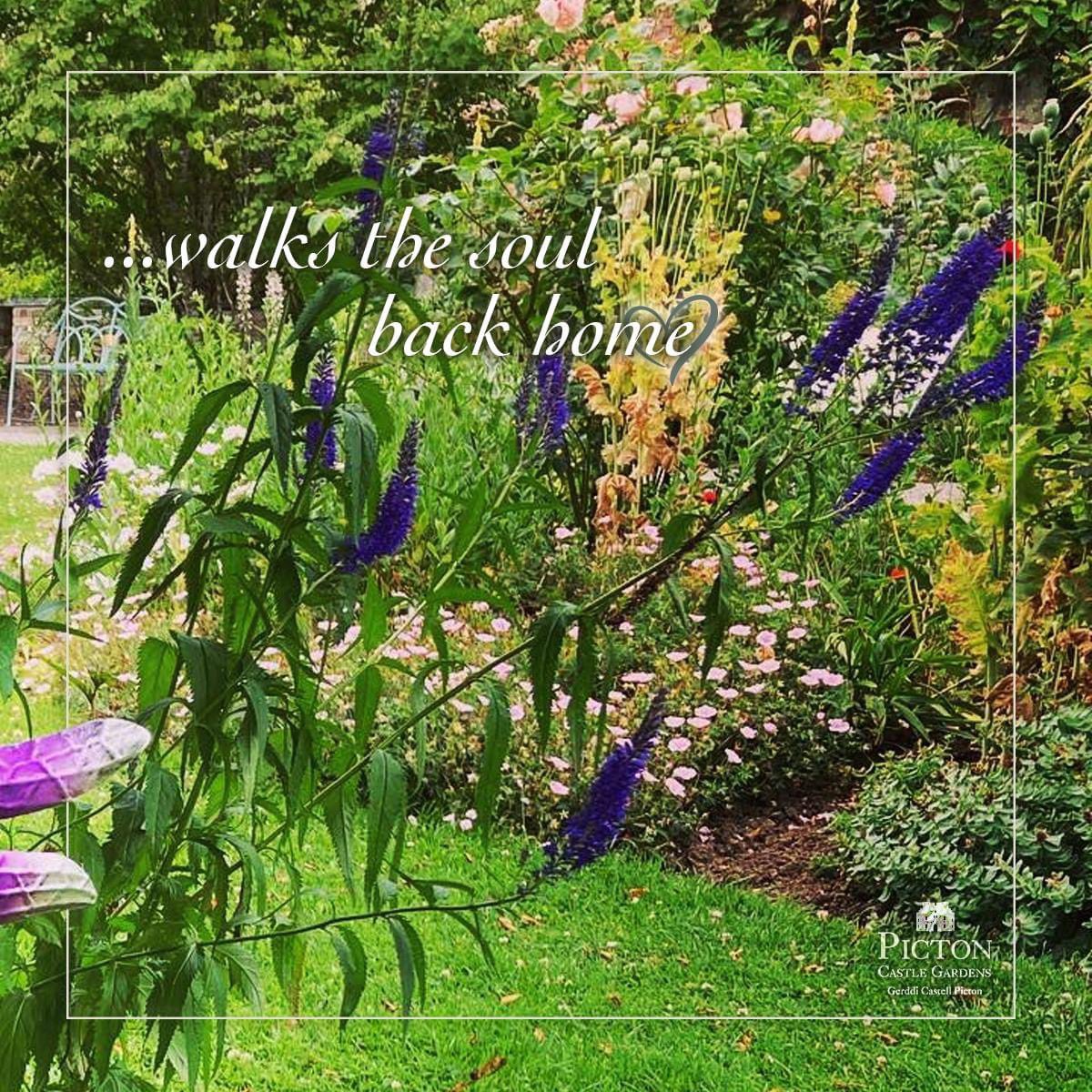 Visiting our magnificent gardens &amp; surrounding yourself with nature is a great way to lift your mood and leave you feeling good. Exercise &amp; connection with nature have been shown to have very positive effects on health and well-being. 
#pictoncastlegardens #visitpembrokeshire