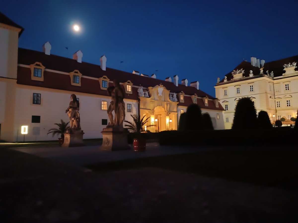 Marek_Lab tweet media