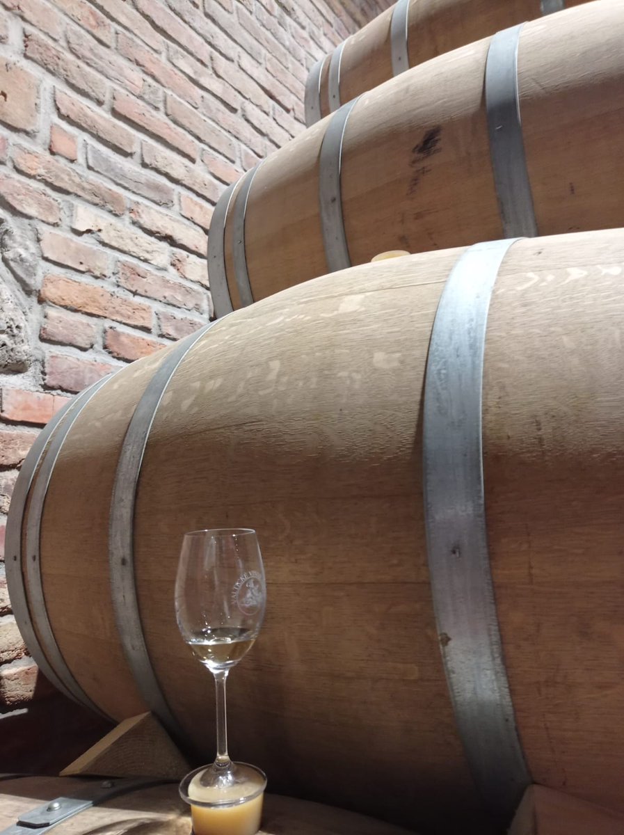 Marek_Lab tweet media