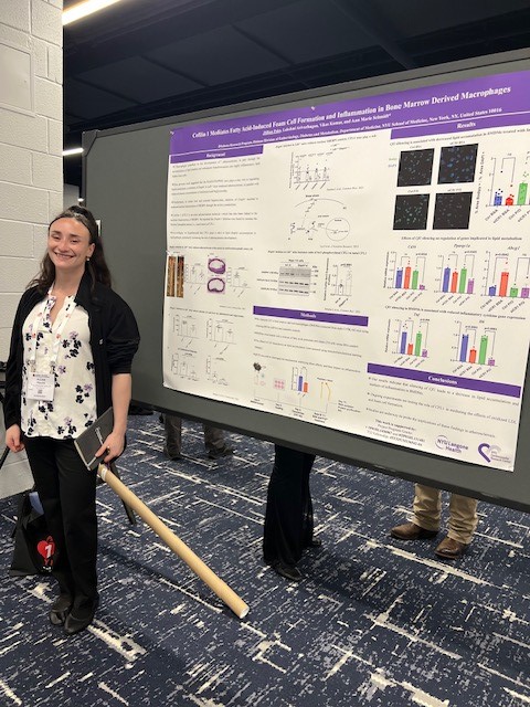 Thrilled to congratulate graduate student, Jillian Poles, in the Diabetes Research Program (NYU) presenting her work on Cofilin 1, macrophages, foam cell formation and inflammation. So very proud of Jillian, seen here presenting her poster at 2024 ATVB Vascular Discovery !!!!