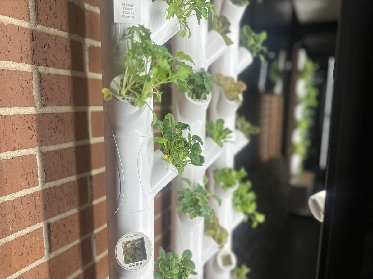 Metro Tech tweet media