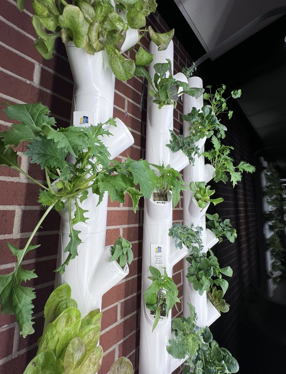 Metro Tech tweet media