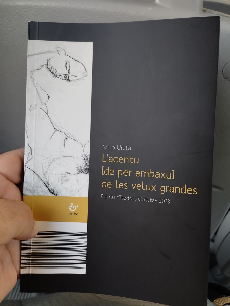 "cuido que'l mieu sía en puridá
un ridículu
de la conciencia d'unu mesmu asaltada
a punta'l filu d'uña
d'un índiz d'otru
un robu d'autoridá [d'un unu nun otru]
lo feble míu que cuido que saben sabe de min"
#lleernasturianu2024 <a href="/edicionesTrabe/">edicionesTrabe</a>