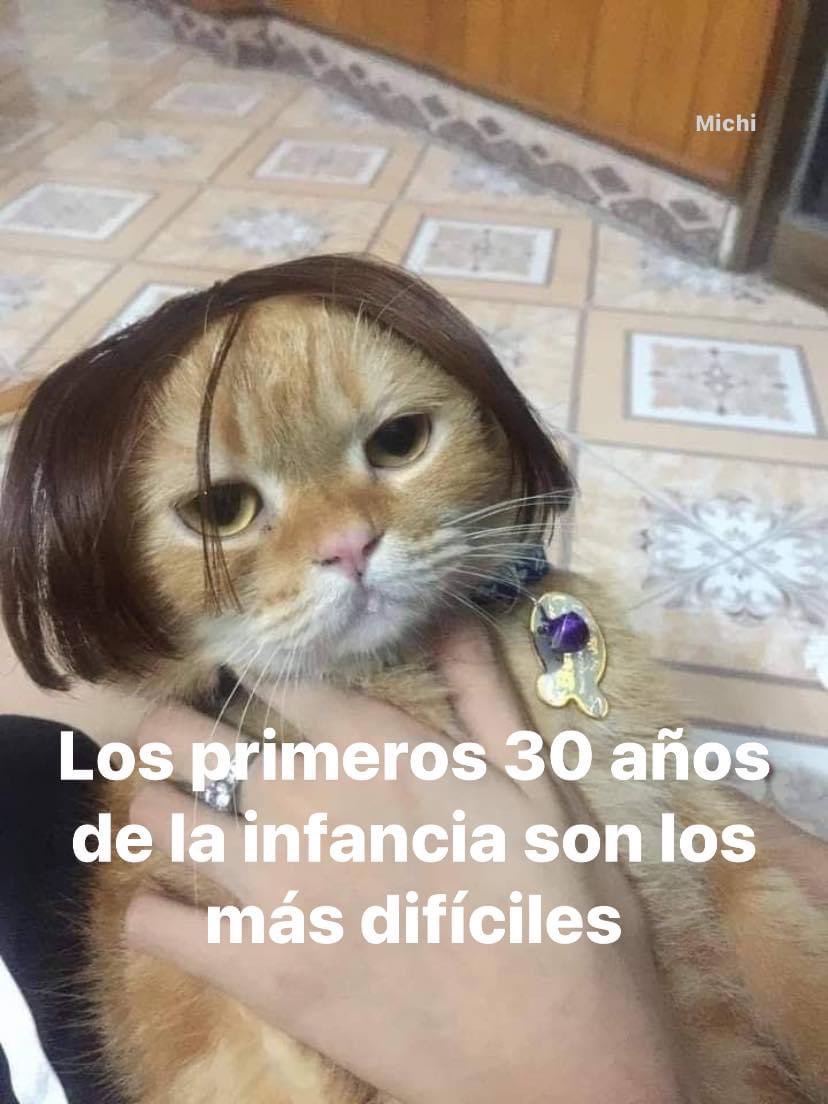 ElJeringasLoko's tweet photo. si https://t.co/ExDc8sCaxU