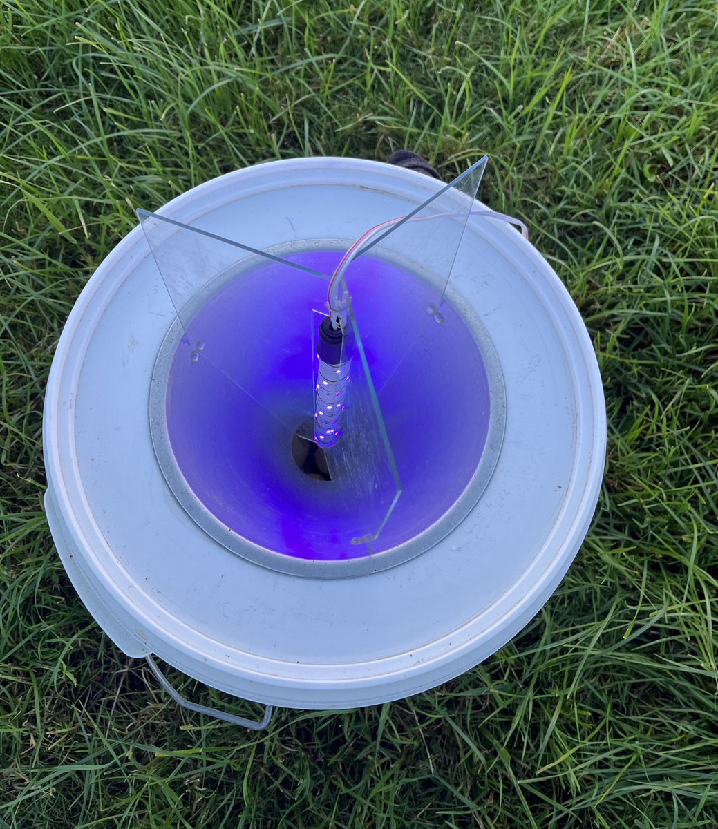 attjemeekma's tweet photo. Hoe ziet zo’n LEDemmer(val) er uit? Nou zo👇
De #nachtvlinders komen op het violetkleurige licht (mbv powerbank) af, vliegen tegen de trechterwand/plexiglas en vallen in de emmer.
Vanavond weer 3 emmers op vaste plekken gezet, morgen meer!
#insectenopdeboerderij 🐄🦋🌙
#BIMAG https://t.co/QzGHJtOFMH