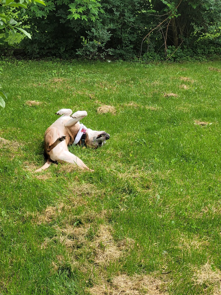 Persephonae 💙 tweet media