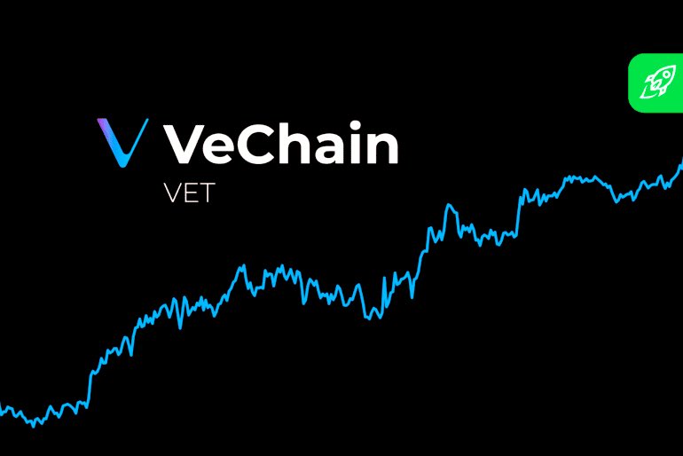 Who is an $VET long-term holder and won't sell below $1? ✊️😎