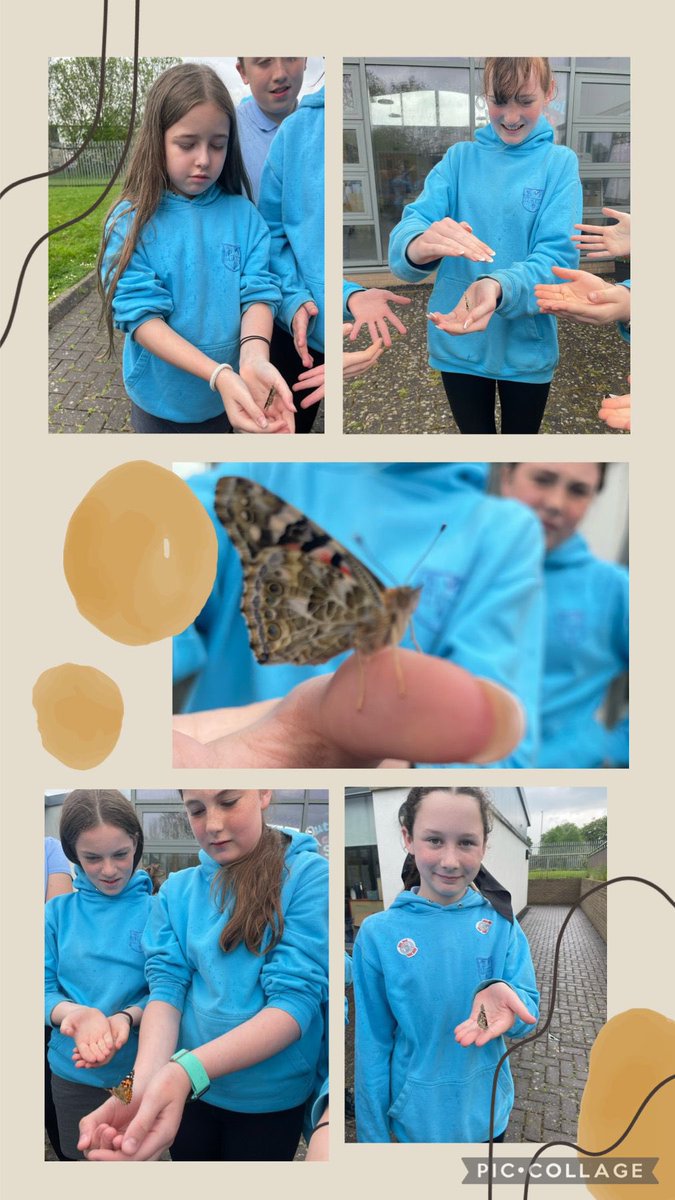 St Luke's Pr & EYC tweet media