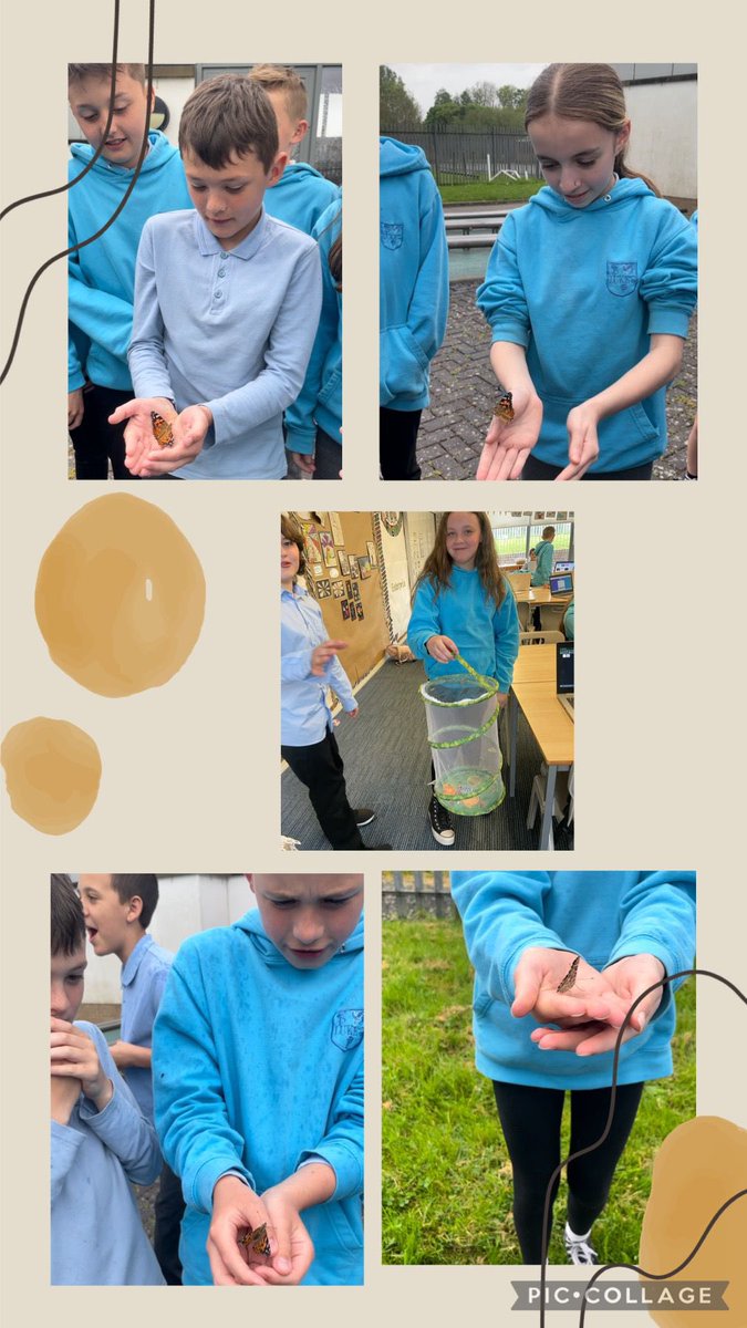 St Luke's Pr & EYC tweet media