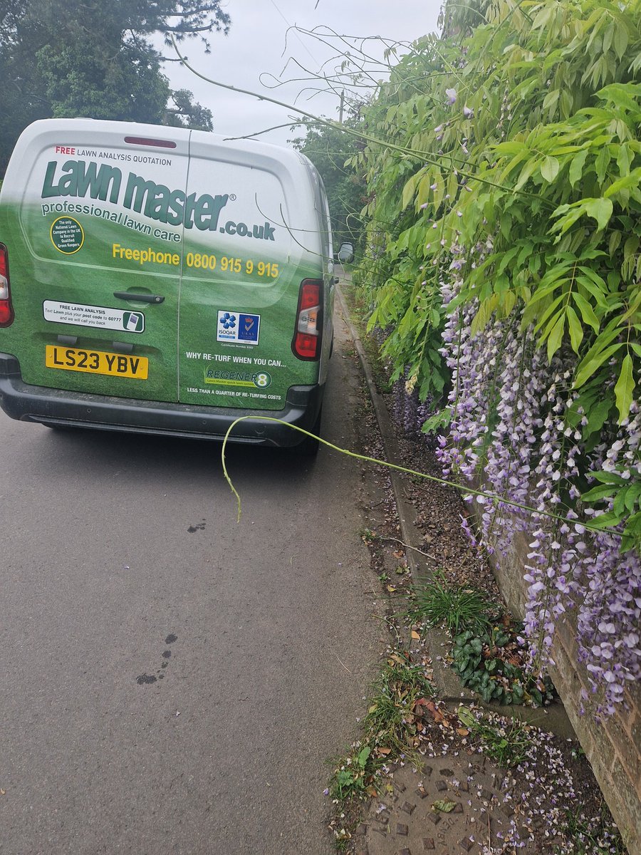 Did a quote today and parked up beside a lovely #wisteriawatch @CTC_Sally @groundsmaiden @LMNorthYorks
Was in full bloom  in the garden