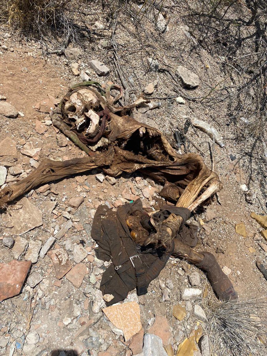 Espero esta persona reencuentre a su familia, porque eso es lo único que buscamos.

México no merece ser un gran panteón y nuestros hijos no merecen terminar siendo alimento de animales.

Vean la realidad de frente y dejen de fingir que nuestro dolor no existe.

1/2