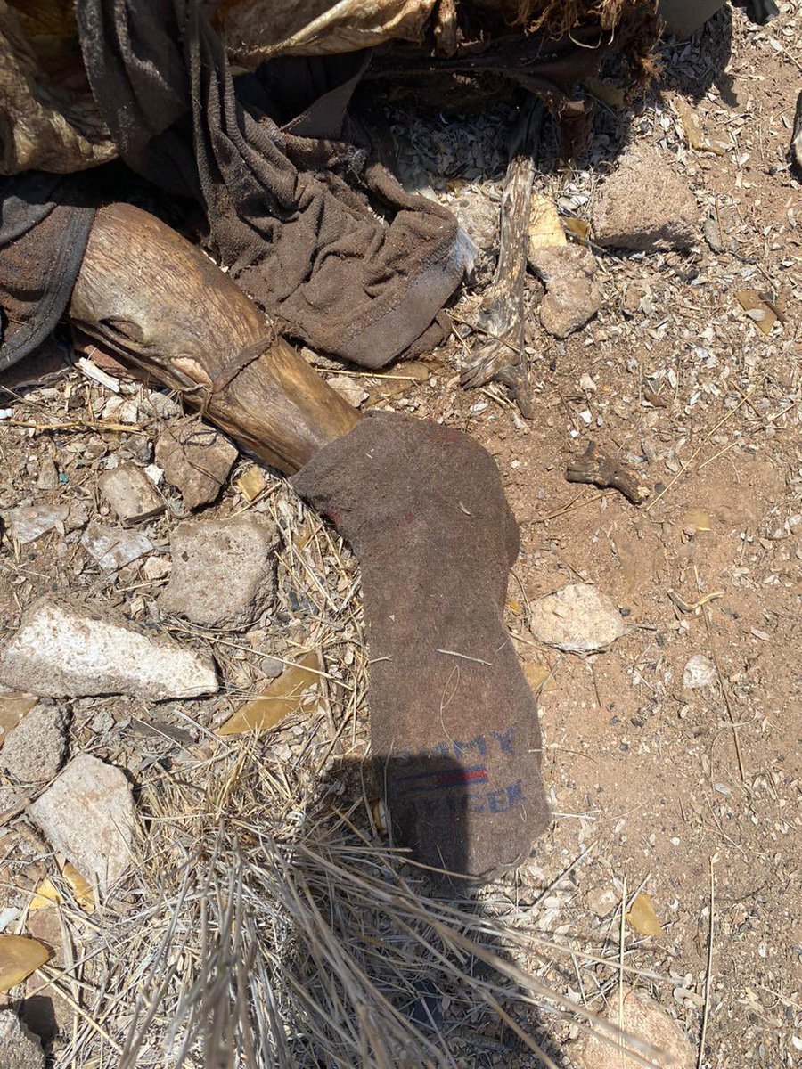 Ceci Flores 6623415616 tweet media