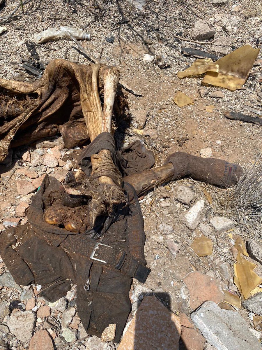 Ceci Flores 6623415616 tweet media