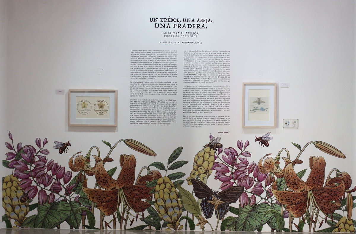 Museo de Filatelia De Oaxaca tweet media