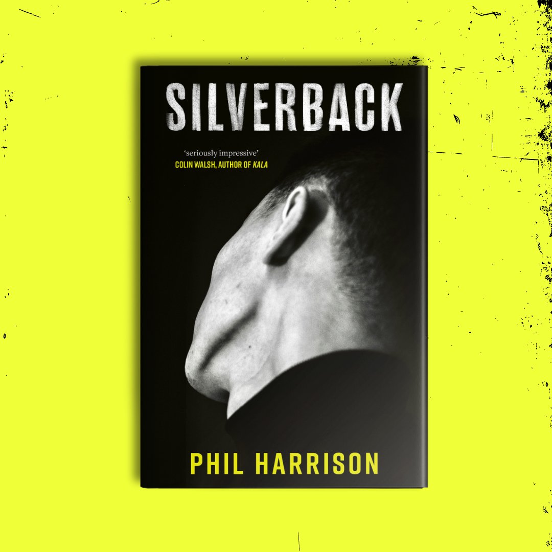 In a Belfast courtroom Robert Rusting is on trial for the murder of his father, a former loyalist hardman. On the jury is James Fechner, a man in search of meaning, inexplicably drawn to the younger man before him. Request #Silverback on @netgalley_uk: brnw.ch/21wJXTe