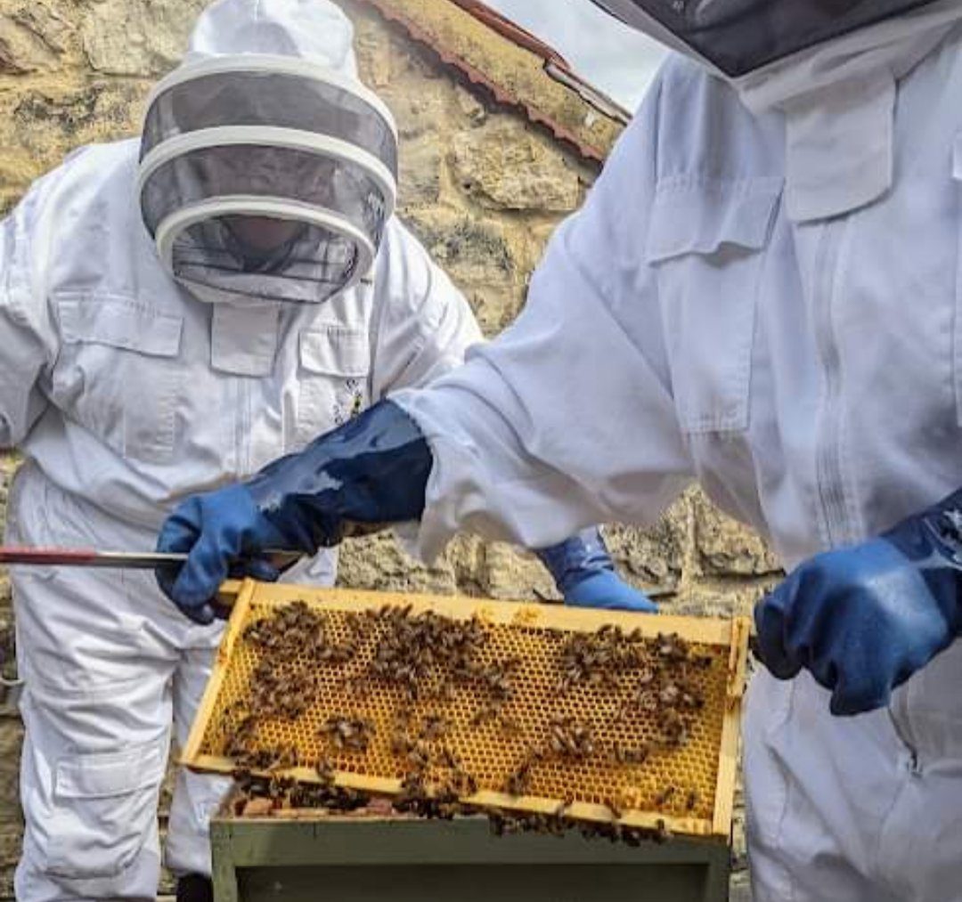 tadcrafters's tweet photo. It's #WorldBeeDay today.  Did you know there is a Tadcrafters beekeeping group?  If you would like to join us on one of our visits to the hives just get in touch. https://t.co/9YCjnL2bqt
#tadcaster #volunteersmakeadifference #EnvironmentallyFriendly #bees #WorldBeeDay2024 https://t.co/8jFaJ3zfDu