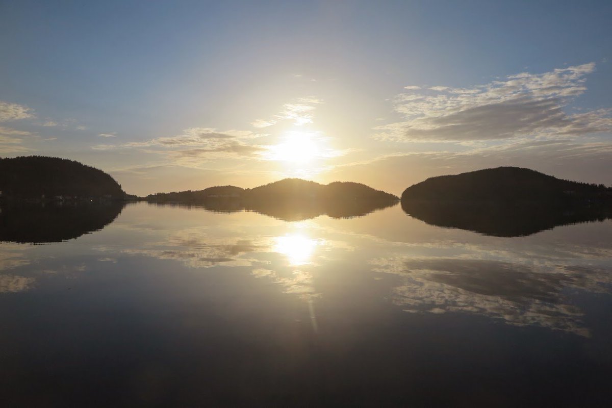 I love mornings in the harbour at Little Bay Islands #newfoundland