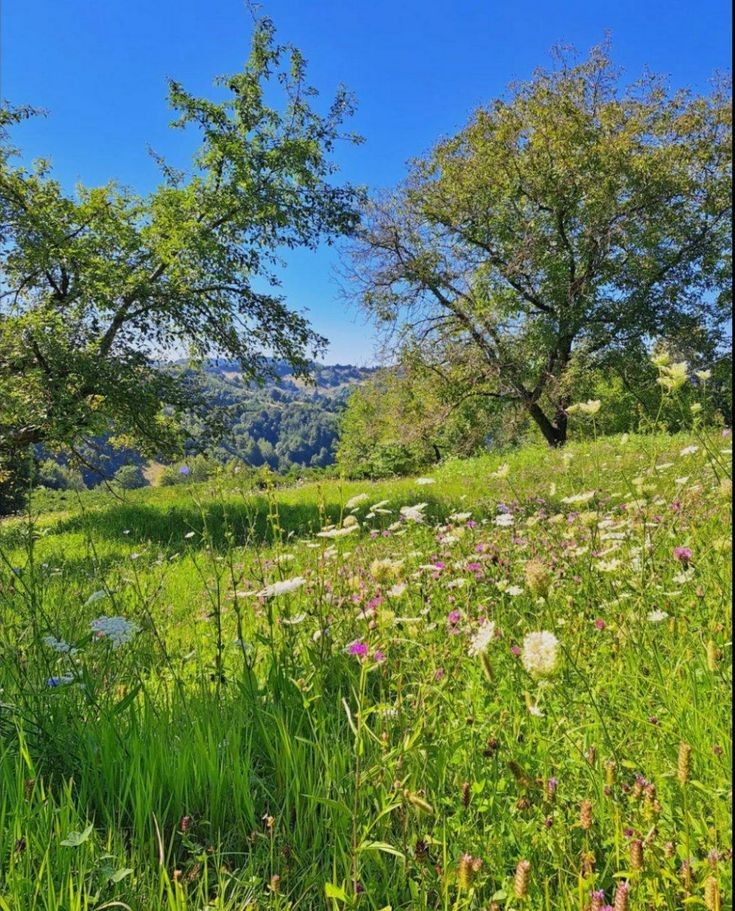softdeIicacy's tweet photo. secret place. https://t.co/KcIhBu78n2