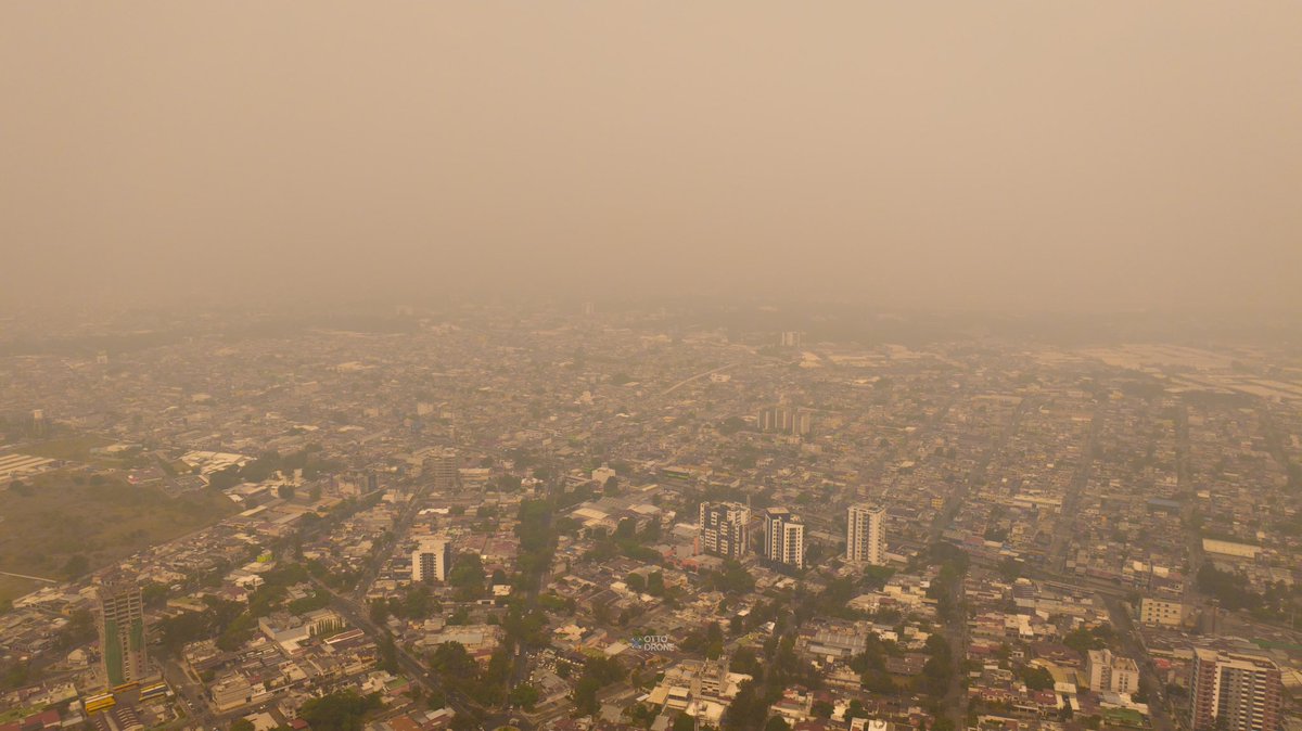 Otto Arriaga tweet media