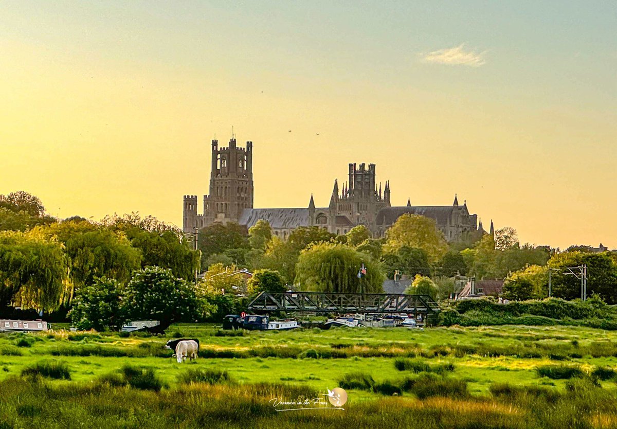 On my sunset walk before the pink/orange/red sky, imagine if I had been here 😍 Ely, Cambridgeshire 💛 #sunset @Ely_Cathedral