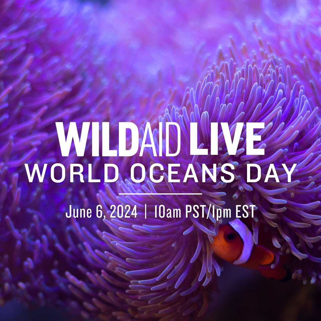 You’re invited to a special #WorldOceansDay livestream on June 6 at 10am PST/1pm EST! 🌊  Tune in to hear from WildAid team members worldwide as we celebrate the ocean—the largest and most powerful ecosystem on Earth. 🪸 Register: us02web.zoom.us/webinar/regist… #WorldOceansDay