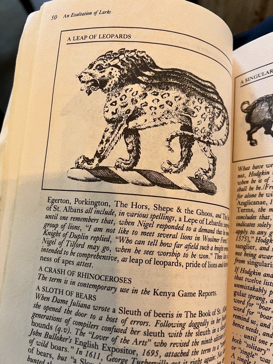 KatyTaly's tweet photo. Leopards are symbols of power, strength and confidence, stealth, perception, bravery, and cunning. 🐆 #signs https://t.co/3AsWyB4EFY