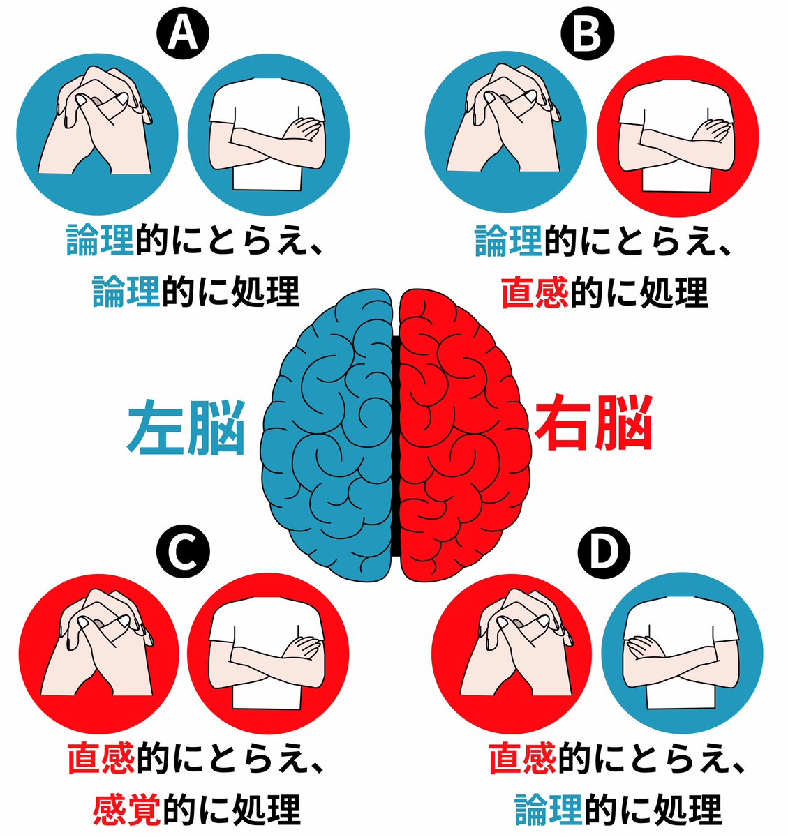 左脳 右脳 違い