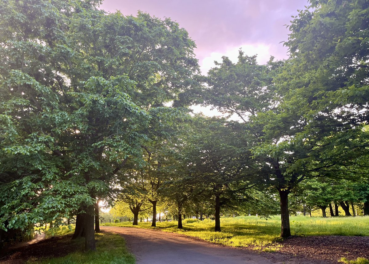 The Old Gold Common. Taken earlier on this evening. #Streatham